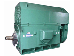 YR500-8B/220KWY系列6KV高压电机